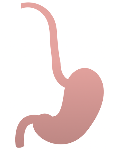 Oesophageal and Stomach Surgeries