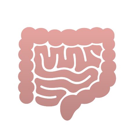 Small and Large Bowel Surgeries